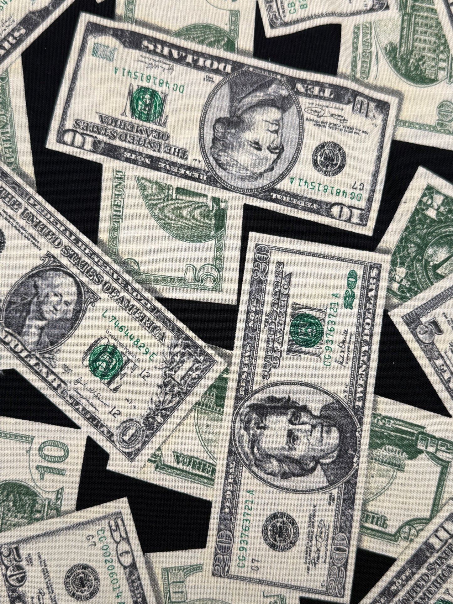 Maddys grip chalk bag - Dollar Bills